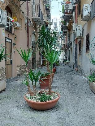 La Rosa Dei Venti " Ponente" Appartement Palermo Buitenkant foto